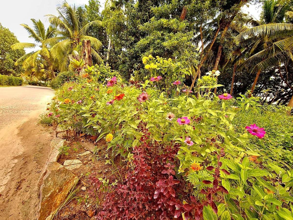 Le Nid De Bea Self-Catering Apartments La Digue Exteriér fotografie